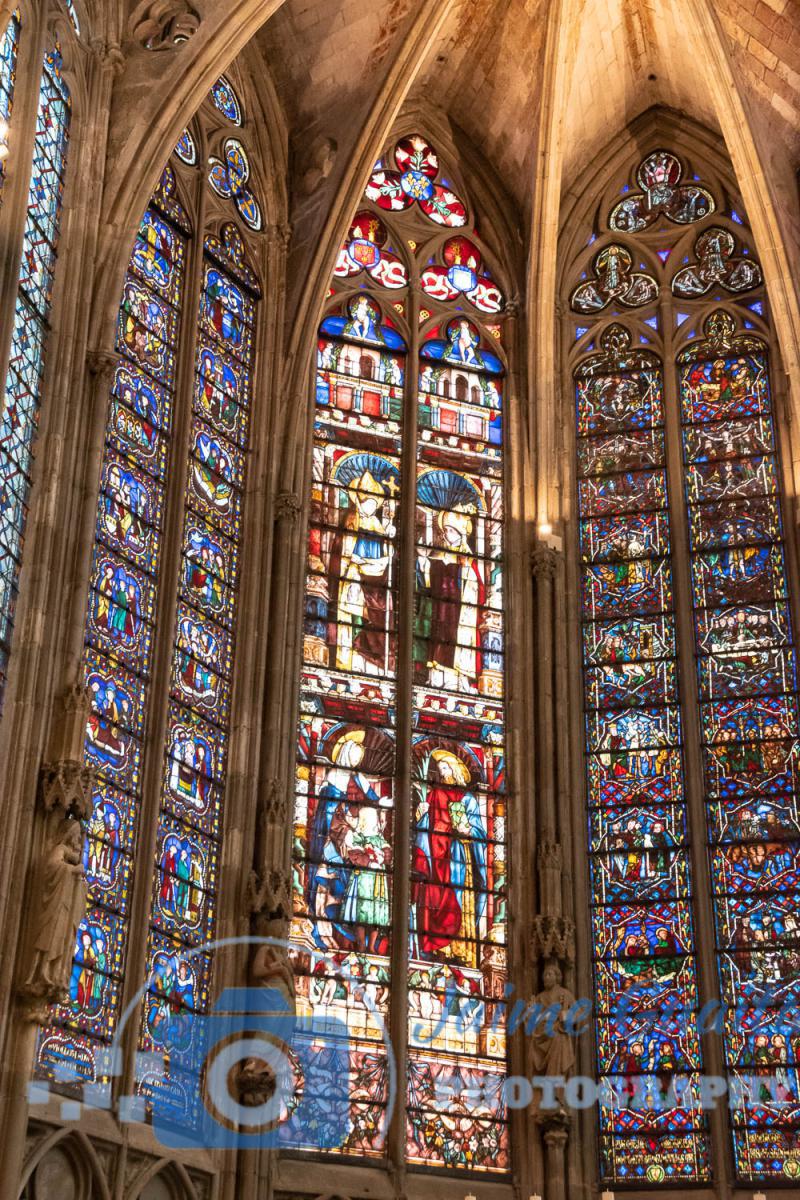 Le-Basilique-du-Saint-Nazaire-15-de-17